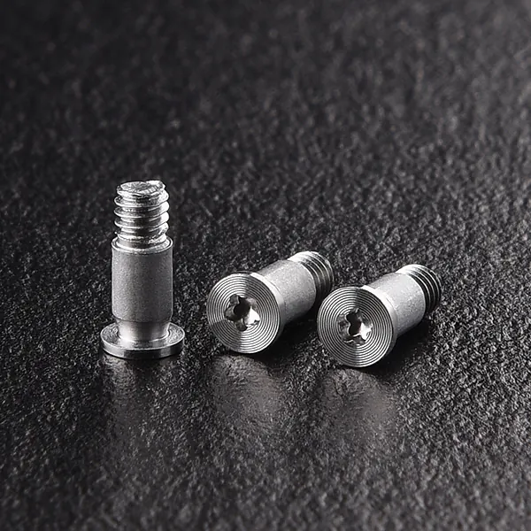 Custom Micro Screws catalog preview