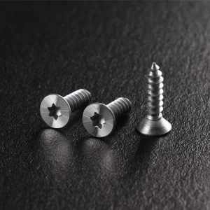 Precision Micro Decorative Cd Pattern Self Tapping Screw M3 0 X 15