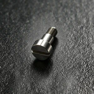 Precision Micro Decorative Slotted Cd Pattern Shoulder Screw